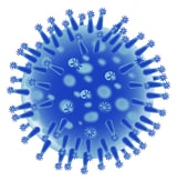 Flu Virus