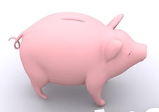 piggy savings